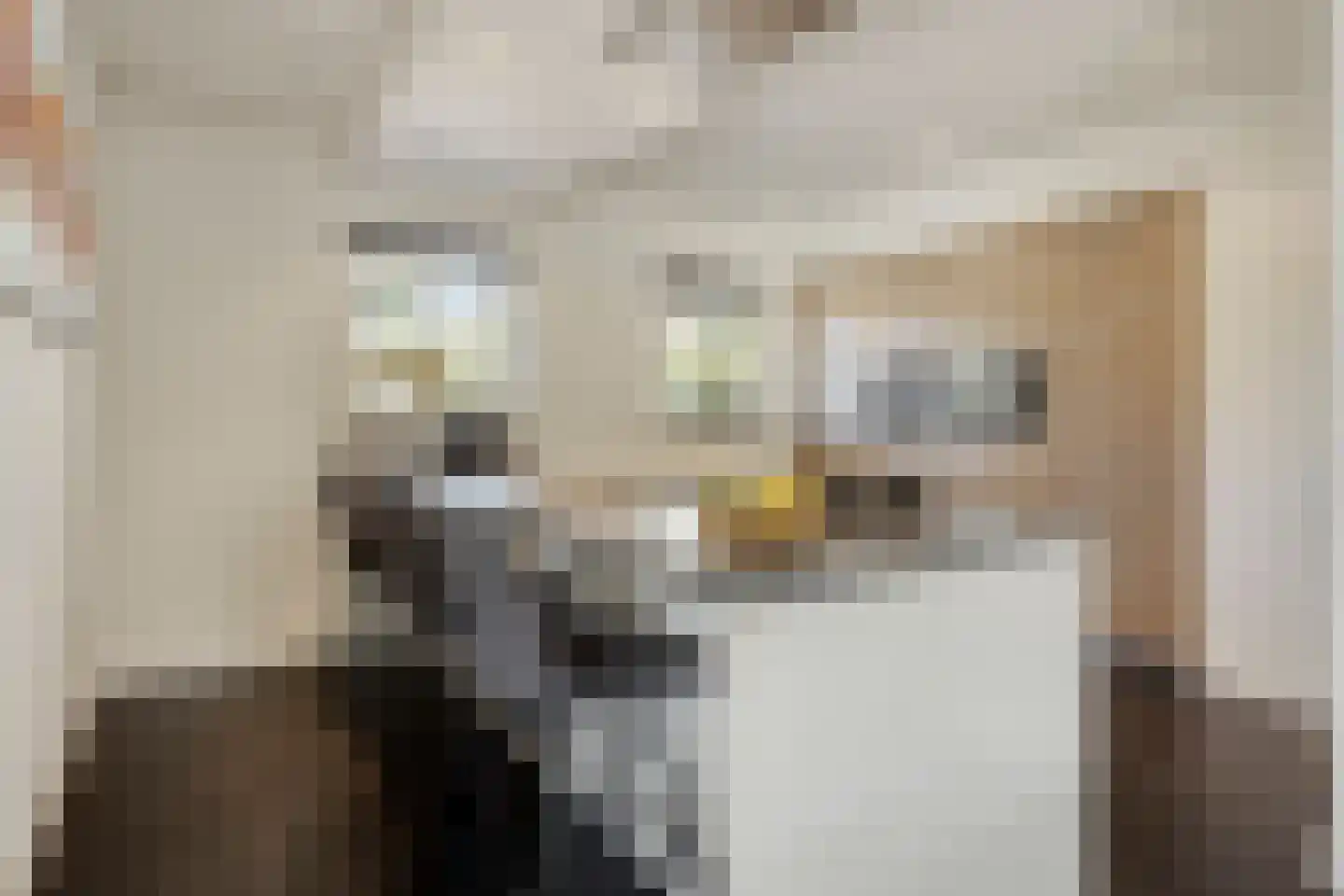 Bernestraat 5 Schaijk thumbnail 7