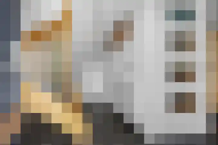 Bernhaldelaan 12 Ellecom thumbnail 16