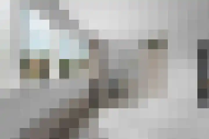 Bernhaldelaan 12 Ellecom thumbnail 23