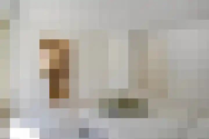 Bernhaldelaan 12 Ellecom thumbnail 26