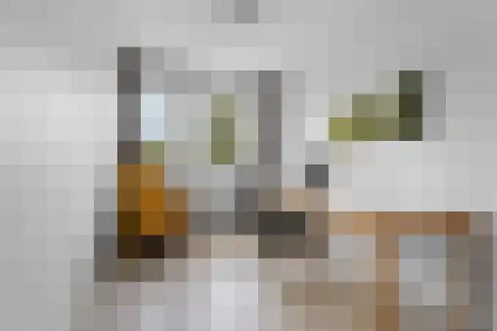 Bernhaldelaan 12 Ellecom thumbnail 26