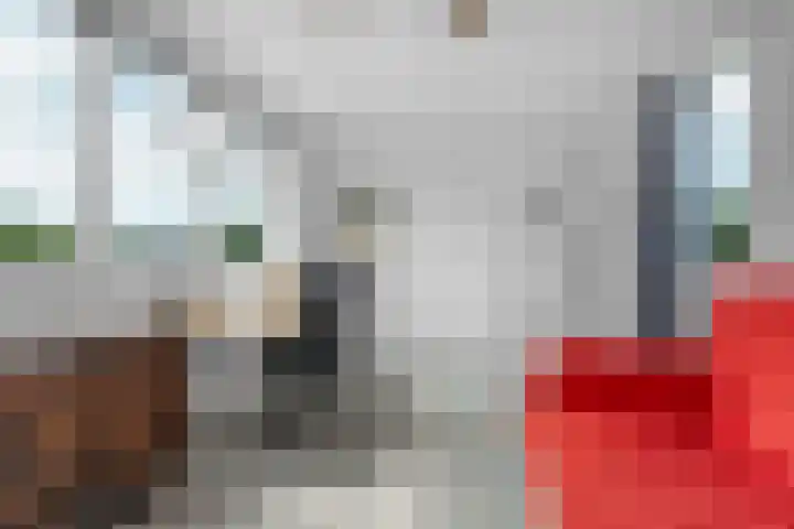 Bernhaldelaan 12 Ellecom thumbnail 32