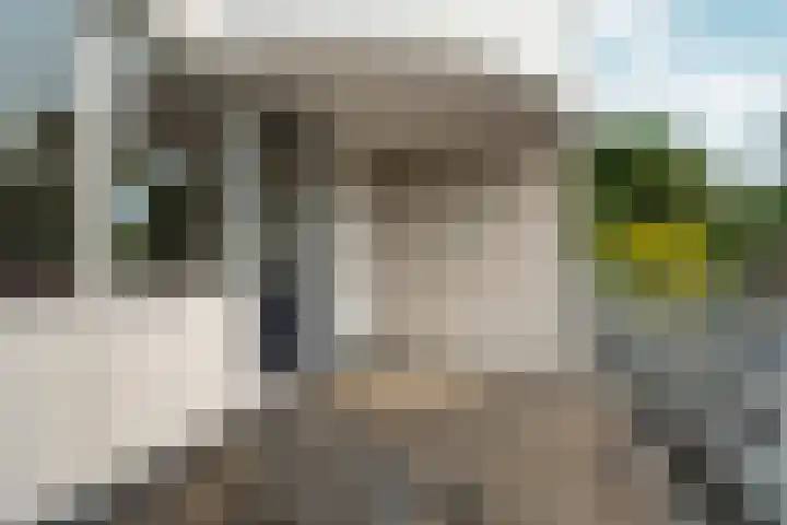 Bernhaldelaan 12 Ellecom thumbnail 34