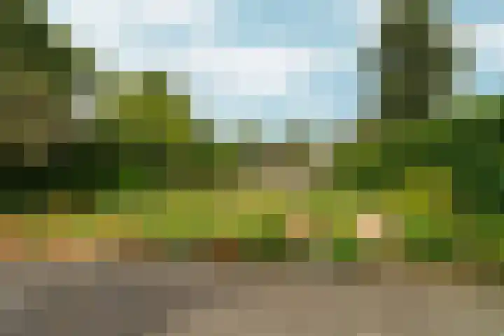 Bernhaldelaan 12 Ellecom thumbnail 42