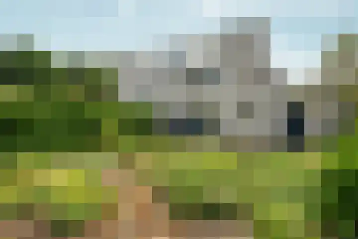 Bernhaldelaan 12 Ellecom thumbnail 43