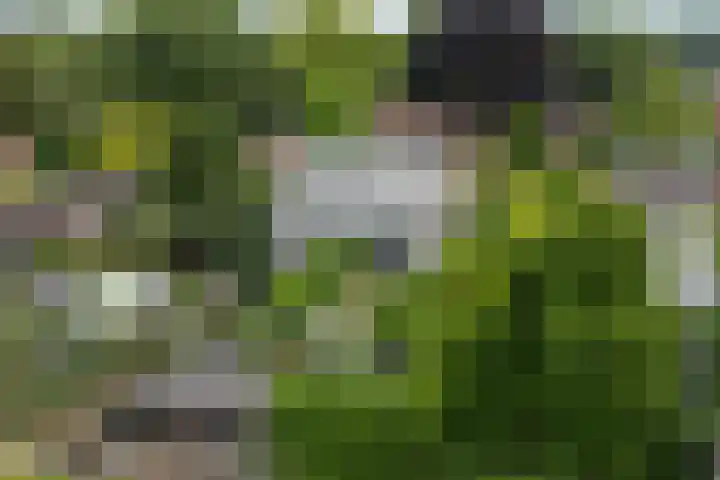 Bernhaldelaan 12 Ellecom thumbnail 44