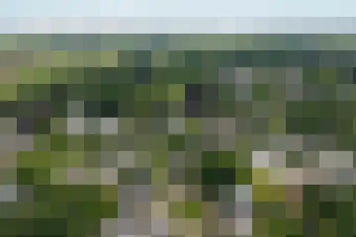 Bernhaldelaan 12 Ellecom thumbnail 49