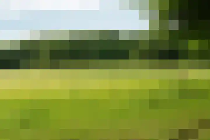 Bernhaldelaan 12 Ellecom thumbnail 57