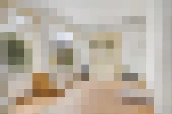 Bernhaldelaan 12 Ellecom thumbnail 59