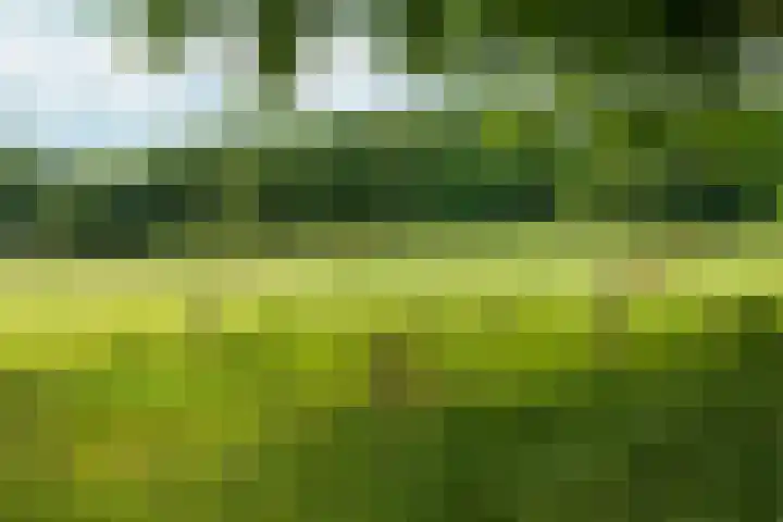 Bernhaldelaan 12 Ellecom thumbnail 60