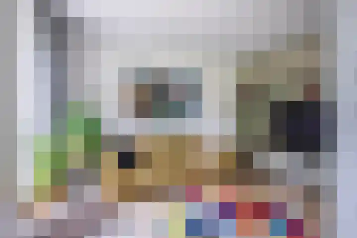 Bernhaldelaan 19 Ellecom thumbnail 11