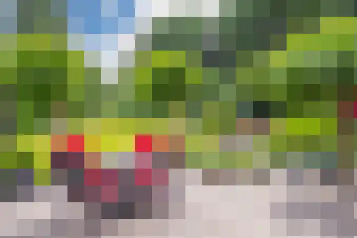 Bernhaldelaan 19 Ellecom thumbnail 18