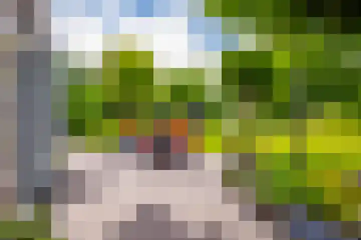 Bernhaldelaan 19 Ellecom thumbnail 20