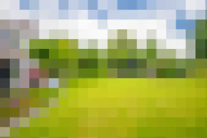 Bernhaldelaan 19 Ellecom thumbnail 22