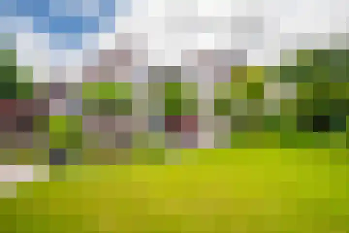 Bernhaldelaan 19 Ellecom thumbnail 23