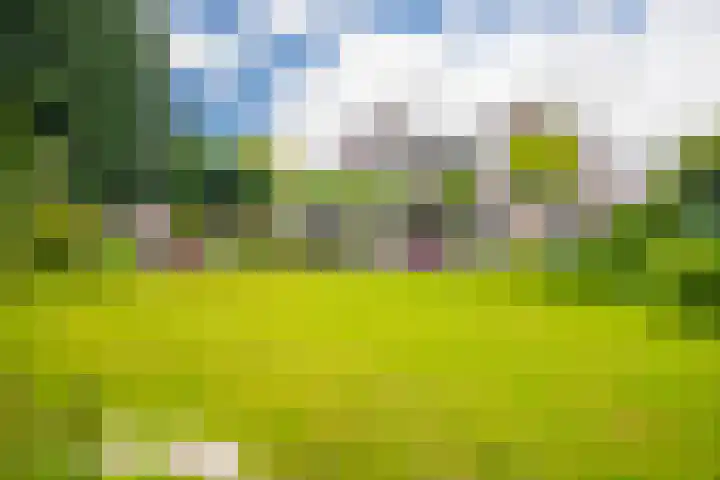 Bernhaldelaan 19 Ellecom thumbnail 24