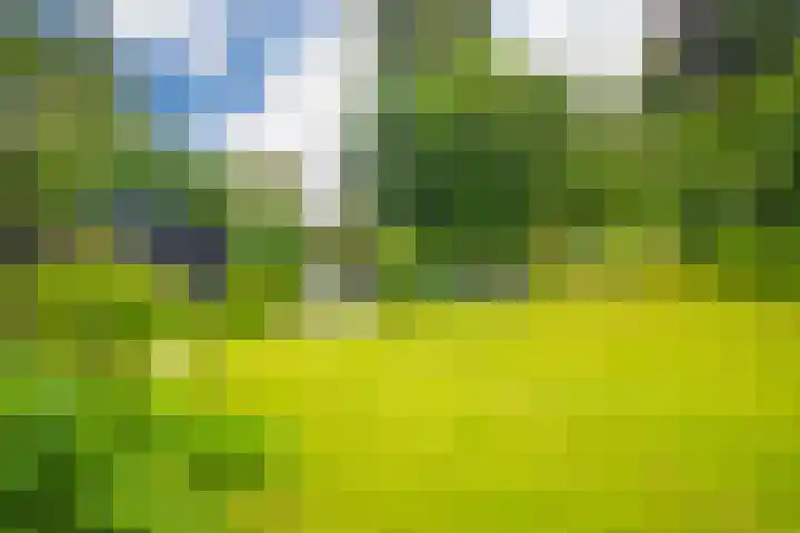 Bernhaldelaan 19 Ellecom thumbnail 27