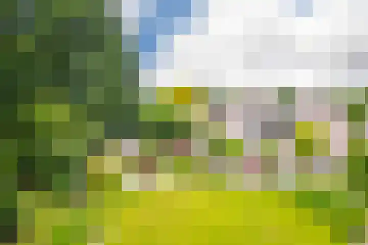 Bernhaldelaan 19 Ellecom thumbnail 28