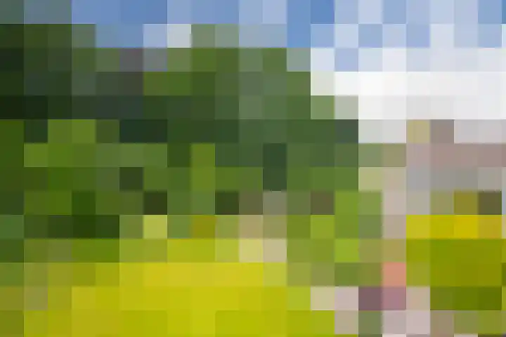 Bernhaldelaan 19 Ellecom thumbnail 29