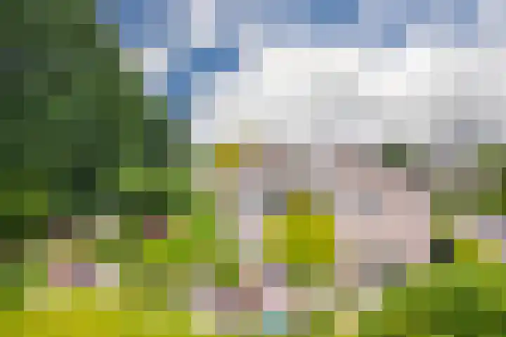 Bernhaldelaan 19 Ellecom thumbnail 30