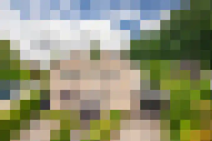 Bernhaldelaan 19 Ellecom thumbnail 4