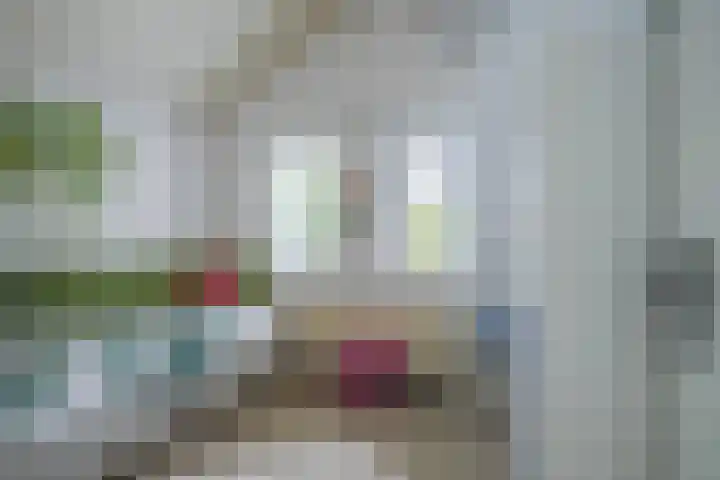 Bernhaldelaan 19 Ellecom thumbnail 43