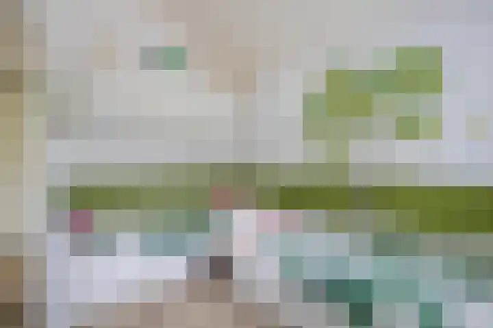 Bernhaldelaan 19 Ellecom thumbnail 44