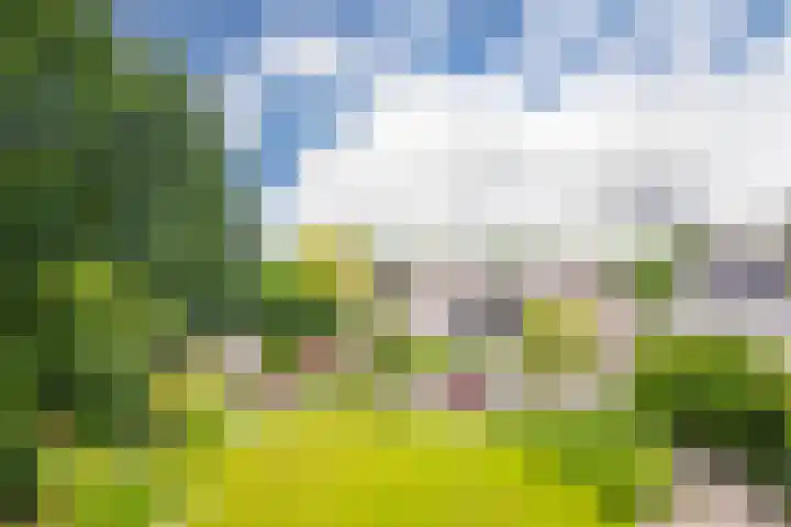 Bernhaldelaan 19 Ellecom thumbnail 50