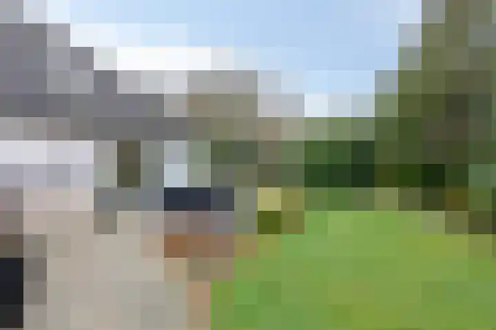 Bernhaldelaan 30 Ellecom thumbnail 44