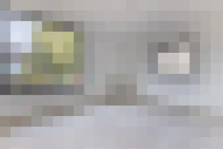 Bernhard Eilershof 1 Amsterdam thumbnail 21