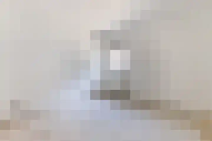 Bernhard Eilershof 1 Amsterdam thumbnail 25