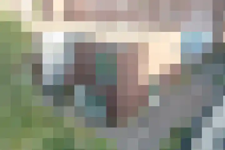 Bernhard Eilershof 1 Amsterdam thumbnail 38