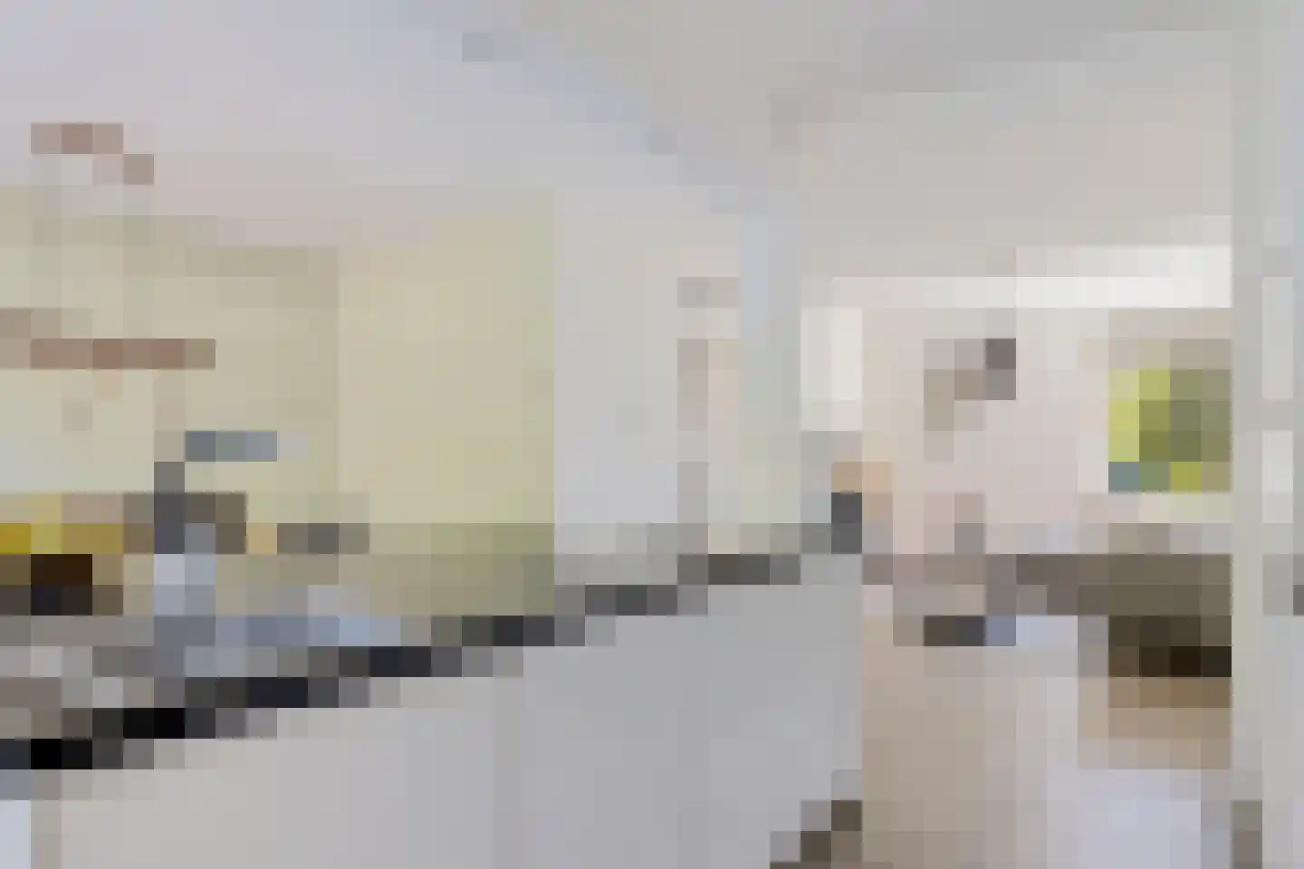 Bernhard Fabritiuslaan 21 Gasselte thumbnail 10