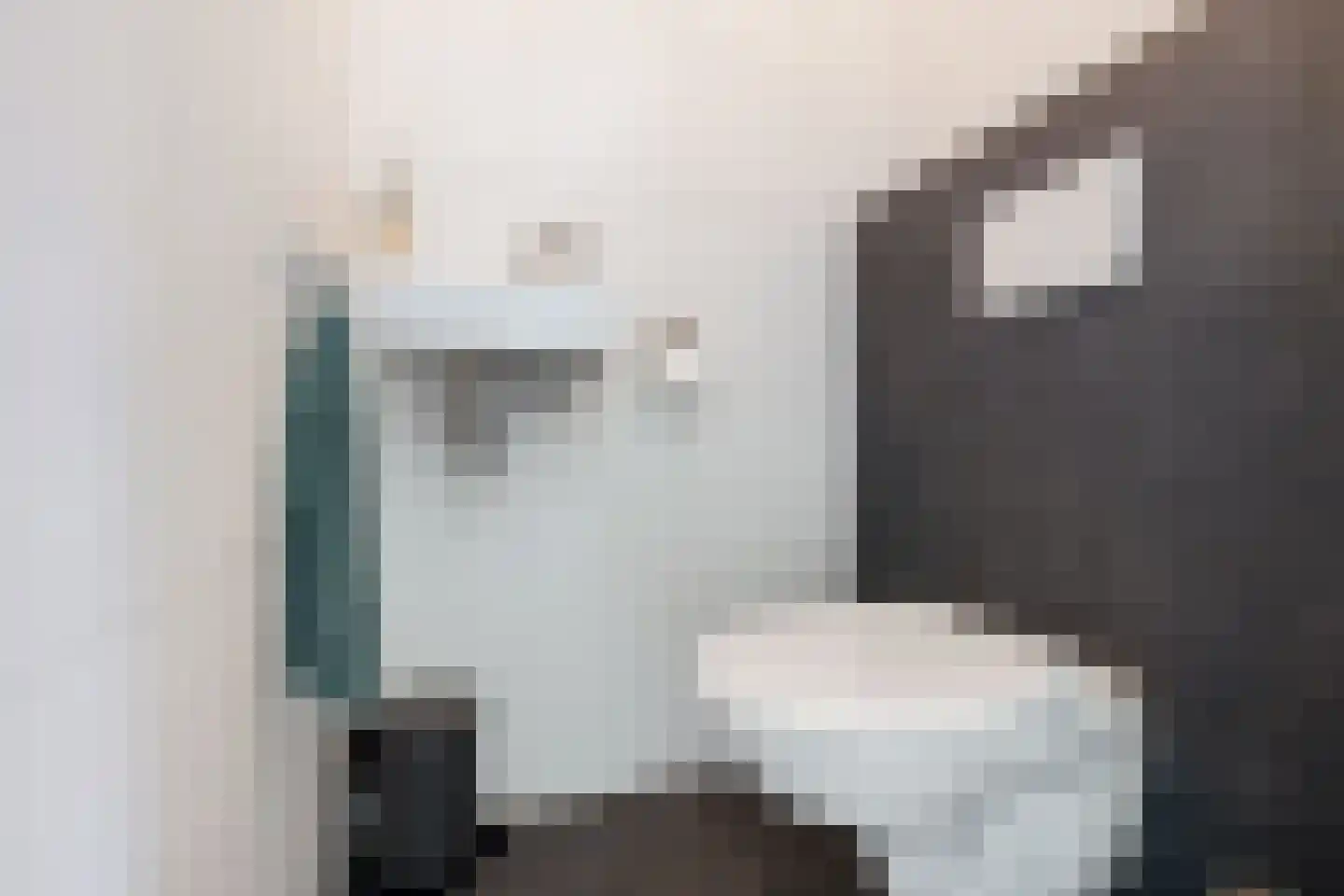 Bernhard Fabritiuslaan 21 Gasselte thumbnail 11