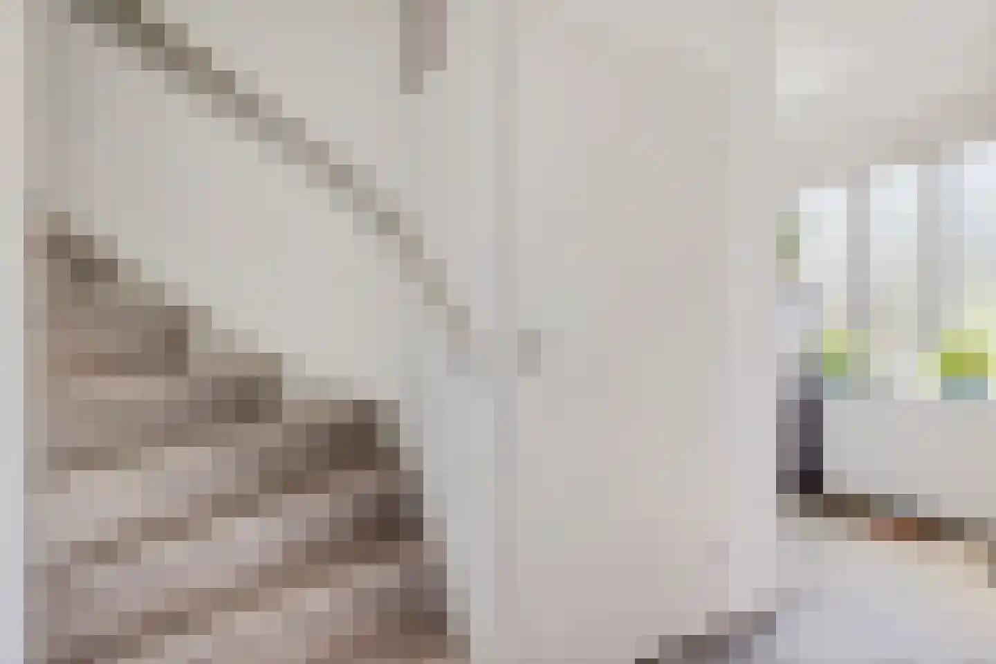 Bernhard Fabritiuslaan 21 Gasselte thumbnail 12