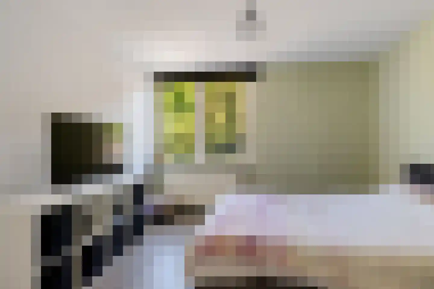 Bernhard Fabritiuslaan 21 Gasselte thumbnail 13