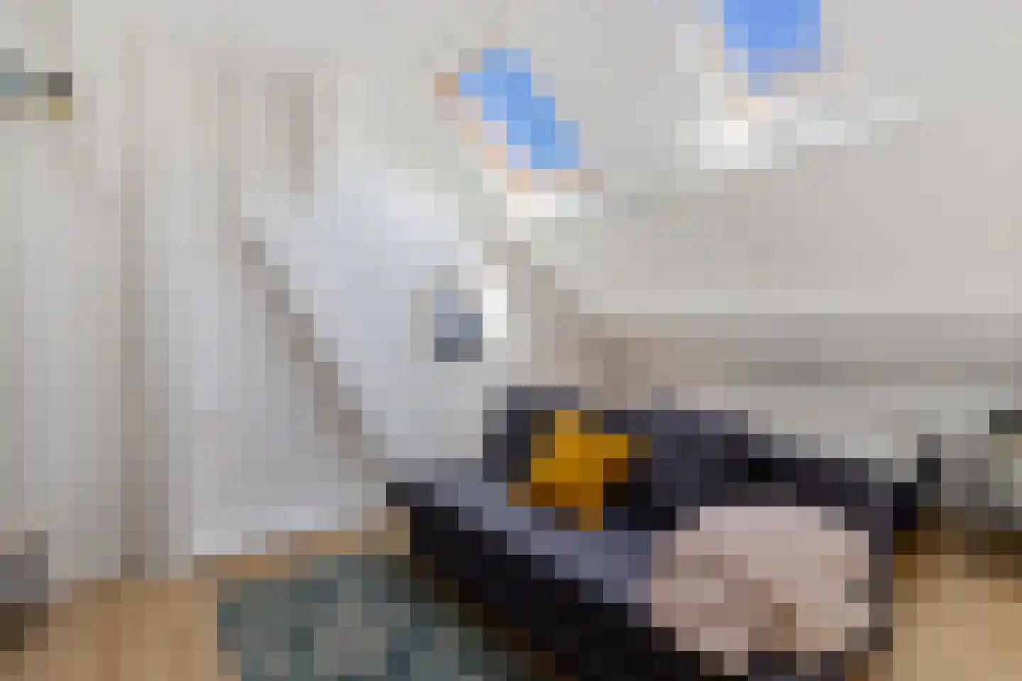 Bernhard Fabritiuslaan 21 Gasselte thumbnail 25