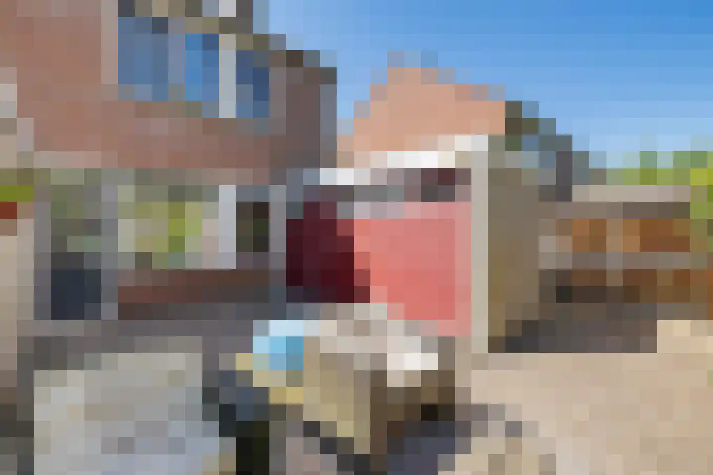 Bernhard Fabritiuslaan 21 Gasselte thumbnail 28