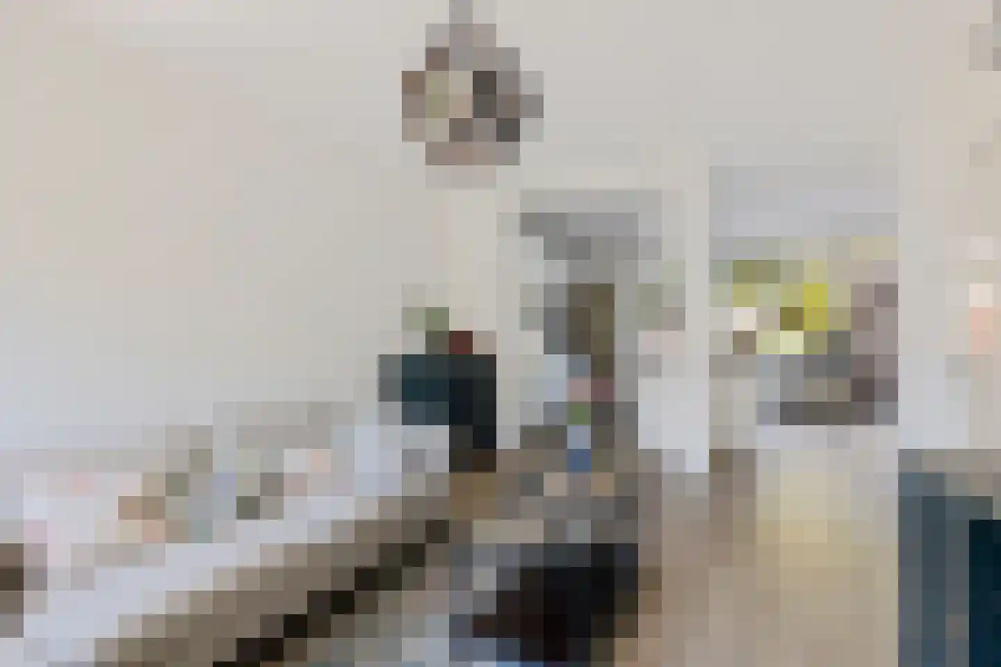 Bernhard Fabritiuslaan 21 Gasselte thumbnail 4