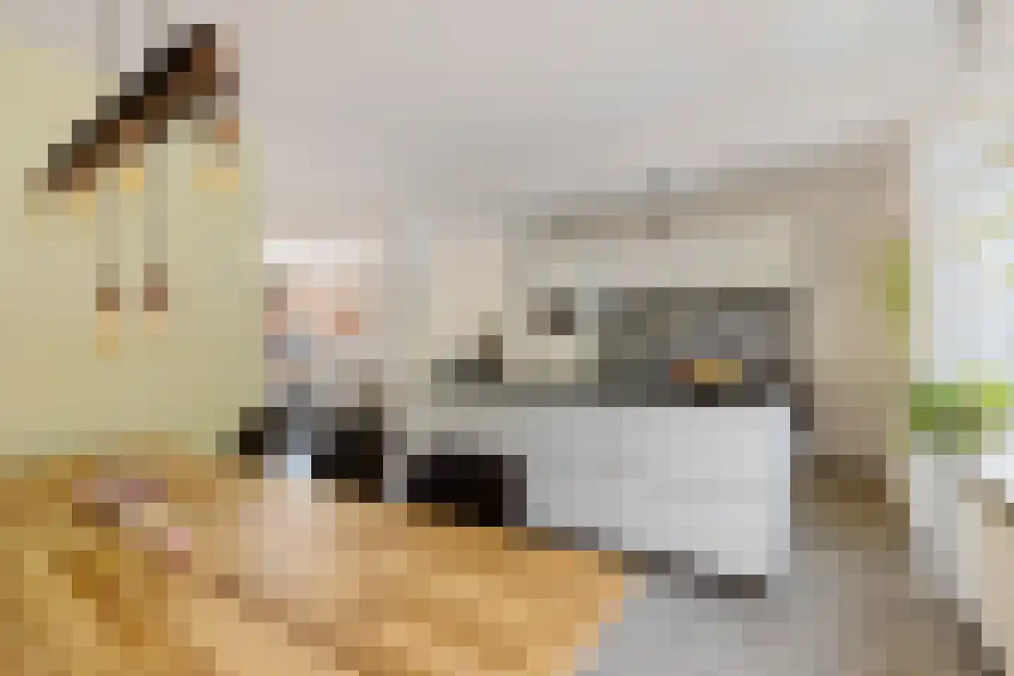 Bernhard Fabritiuslaan 21 Gasselte thumbnail 6
