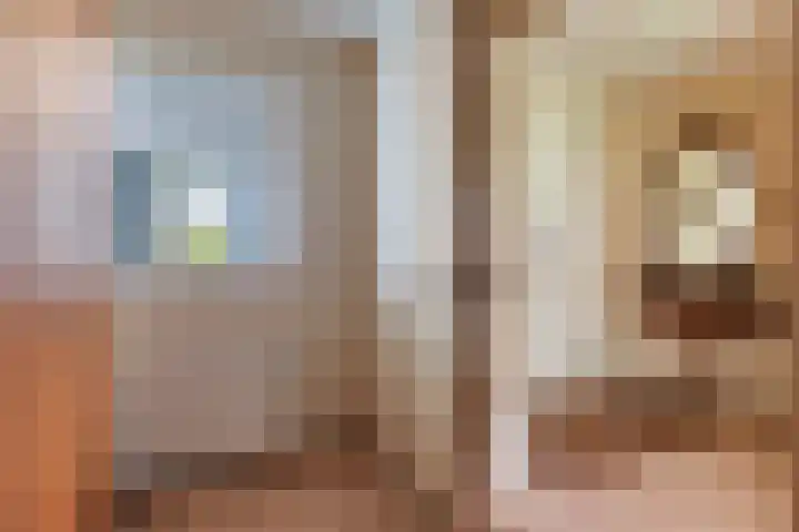 Bernhardhof 613 Gouda thumbnail 14