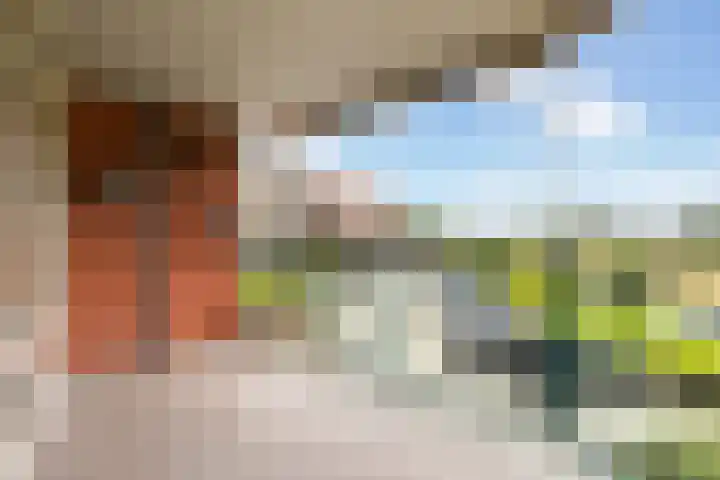 Bernhardhof 613 Gouda thumbnail 24