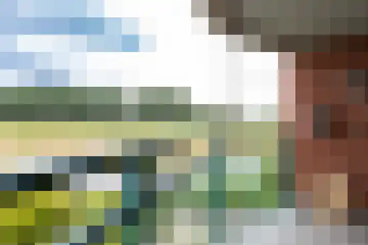 Bernhardhof 613 Gouda thumbnail 25