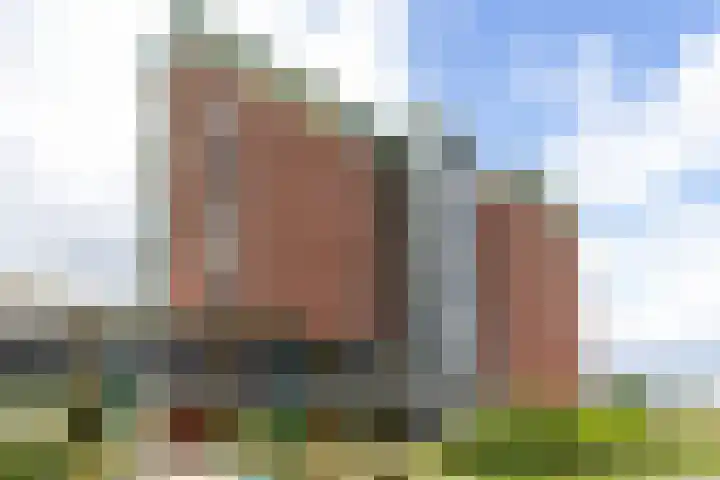 Bernhardhof 613 Gouda thumbnail 32