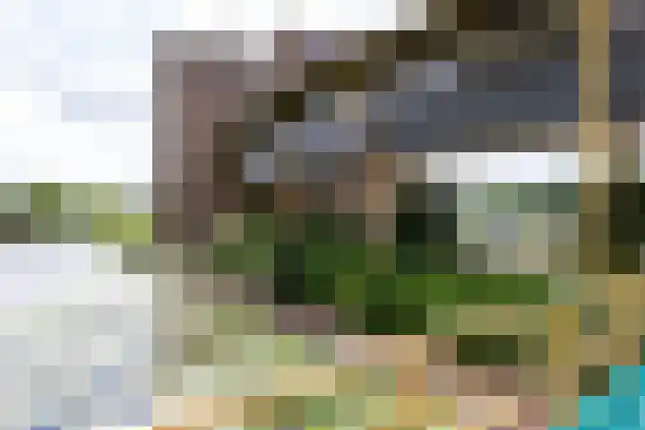 Bernhardhof 613 Gouda thumbnail 33
