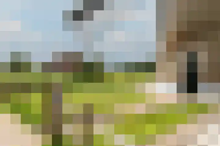 Bernhardhof 613 Gouda thumbnail 36