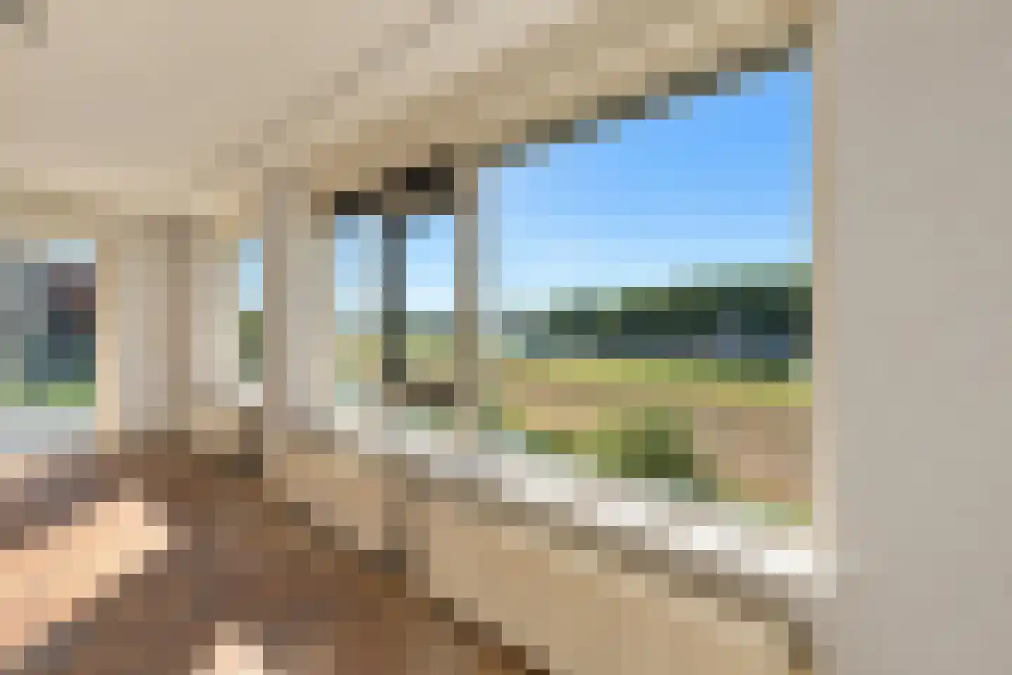 Bernhardhof 623 Gouda thumbnail 19