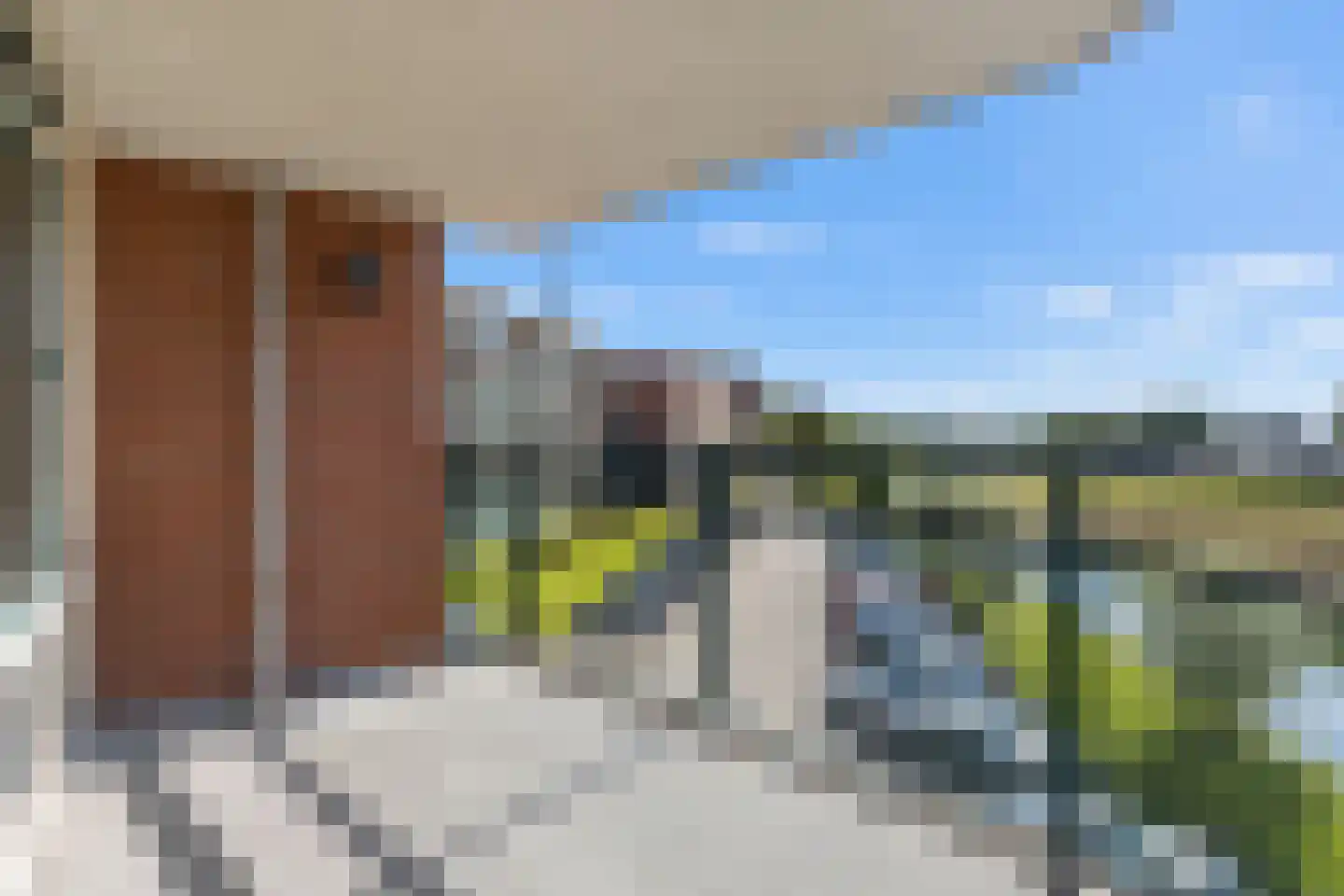 Bernhardhof 623 Gouda thumbnail 30