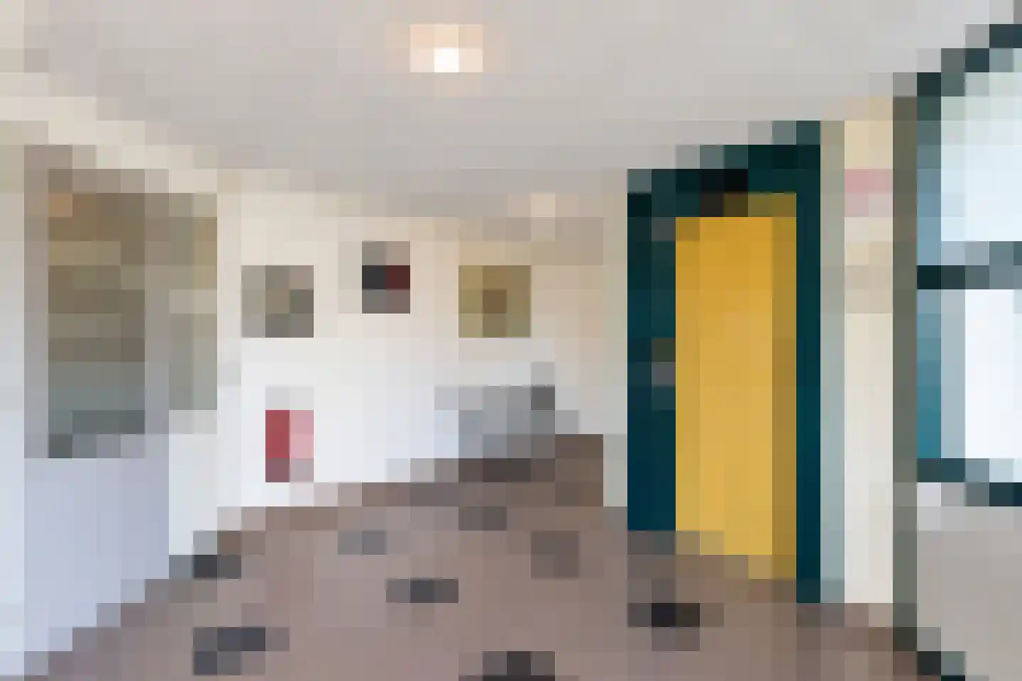 Bernhardhof 623 Gouda thumbnail 8