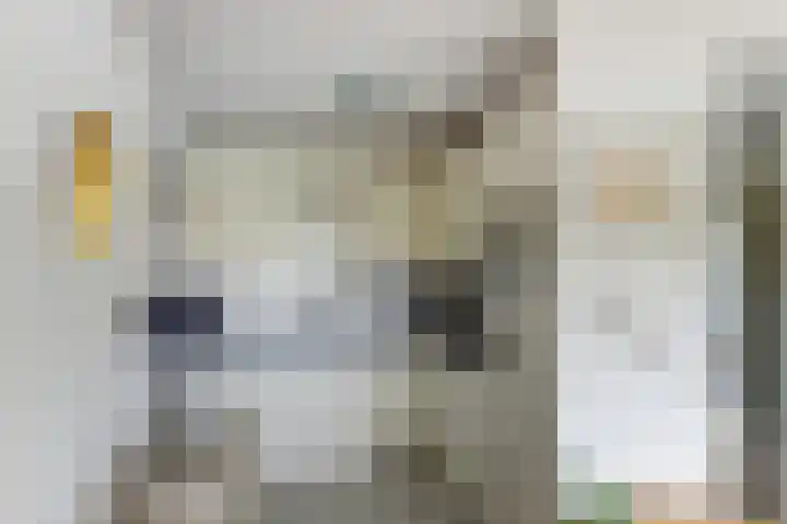 Bernhardhof 625 Gouda thumbnail 10